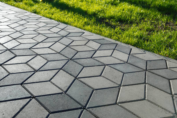 Best Driveway Paving Contractor  in Maury, NC