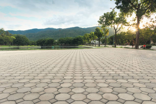 Best Local Driveway Pavers  in Maury, NC