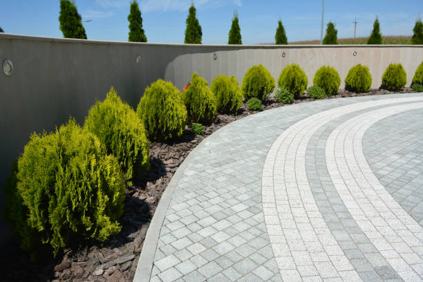 Best Decorative Driveway Pavers  in Maury, NC